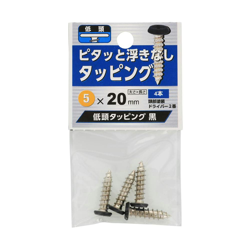タッピング 低頭 黒 M5×20mm | ねじ・くぎ・針金・建築金物 通販