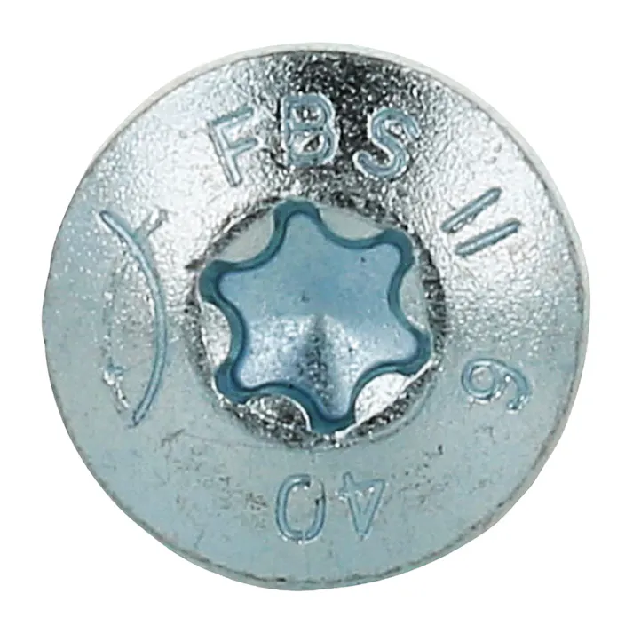 フィッシャー ウルトラカット 6×40 トルクス穴 NP なべ頭