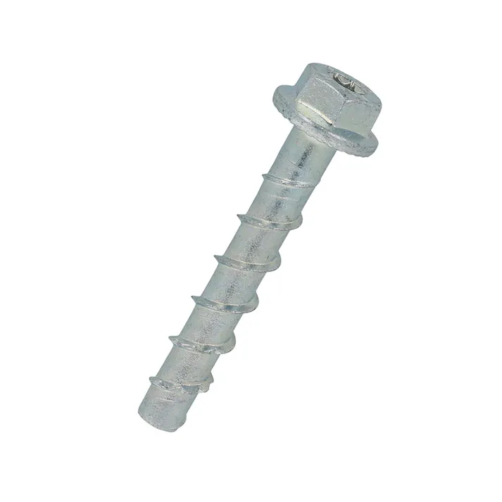 フィッシャー 六角ウルトラカット トルクス穴 8×55 NP 15本入