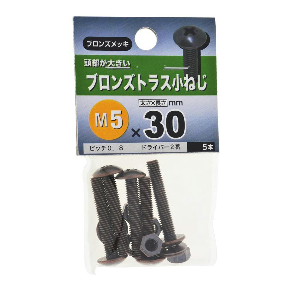 GBトラス小ネジ 5×30