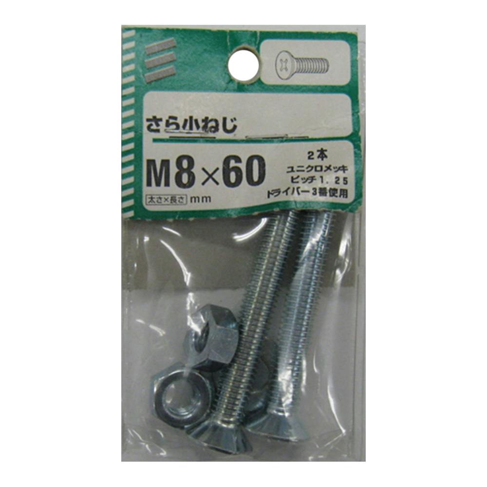 (NB) サラコネジ 8×60