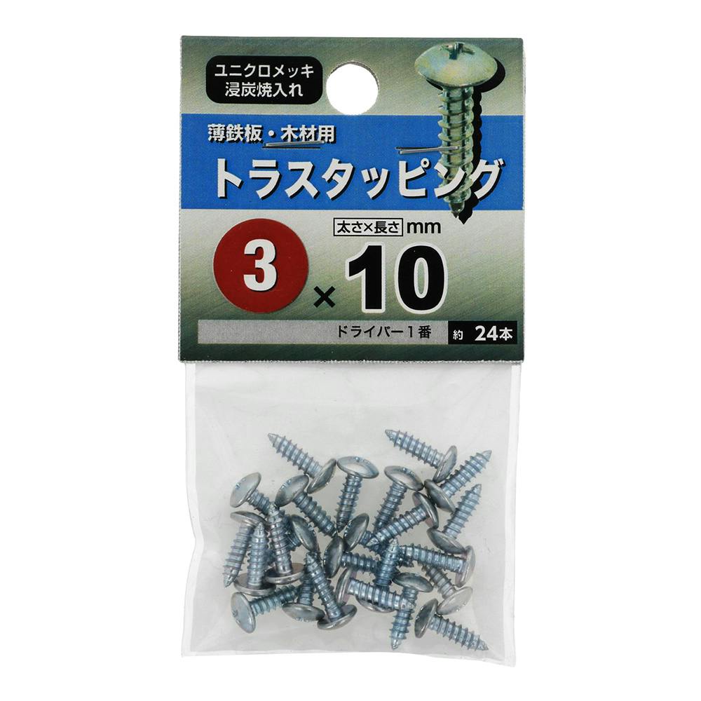 トラスタッピング 薄鉄板・木材用 3×10mm 24入