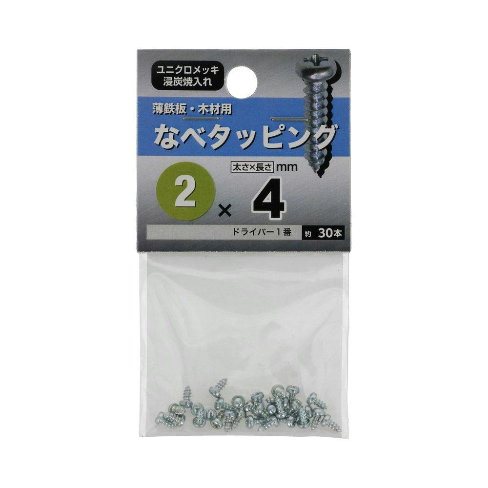 ねねページ 楽天市場】鉄/三価ホワイト ピン・トルクス ナベセムス [P=4