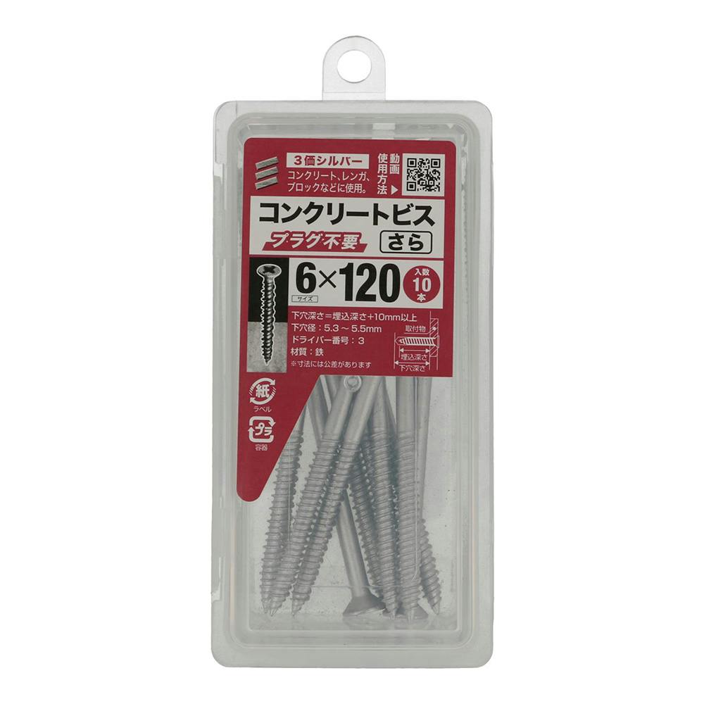 KALS 2020年度　基礎編セット コンクリートビス さら NP 6×120mm 約10本 | ねじ・くぎ・針金・建築