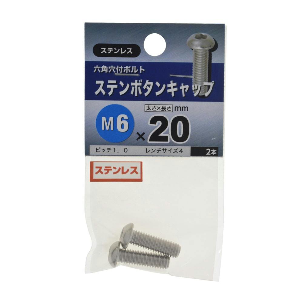 フランジボタンＣＡＰ【500個】SUSﾌﾗﾝｼﾞﾎﾞﾀﾝCAP 6 X 20 ｽﾃﾝﾚｽ(303､304