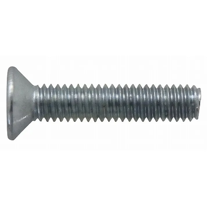 皿小ねじ ZU 4×20mm バラ