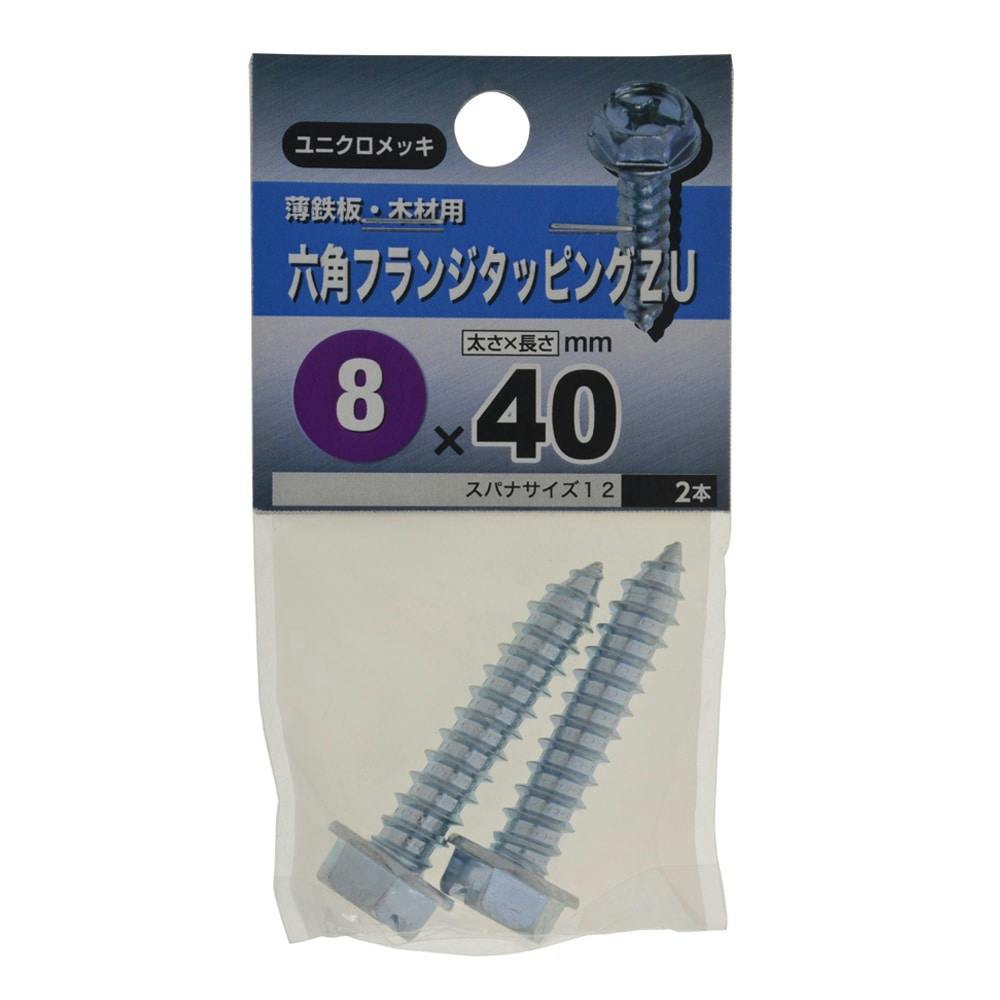 ZptW^bsO 8×40 ^bsO˂