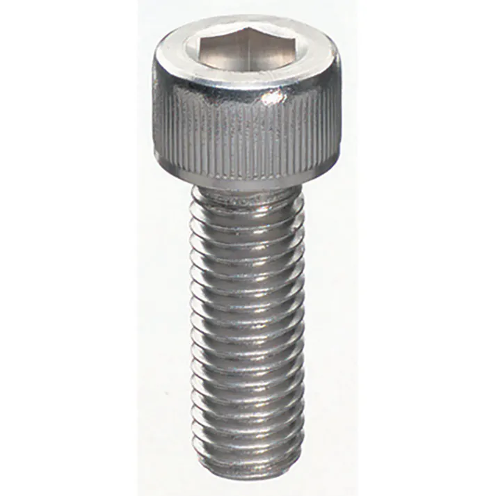 ステン六角穴付きボルト (R) M5×30mm バラ