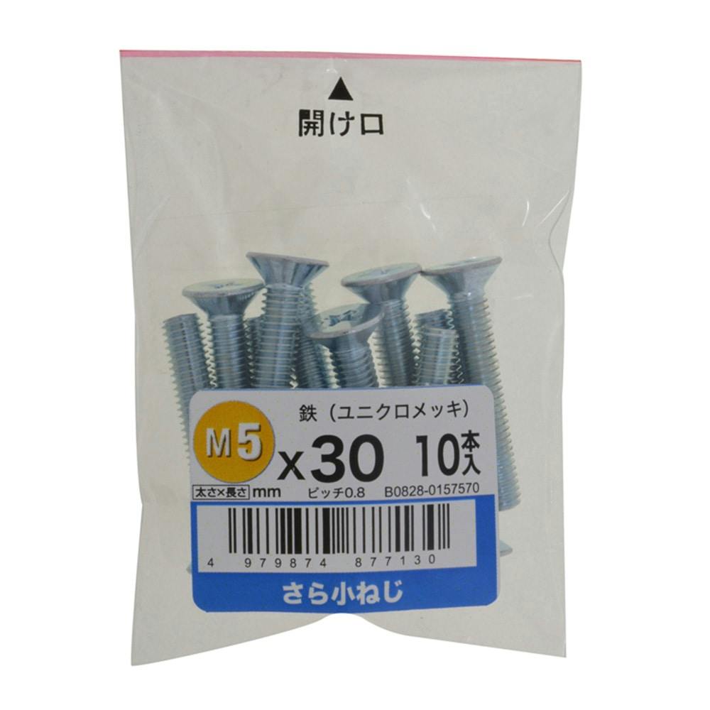 さら小ねじ 10入り 5×30