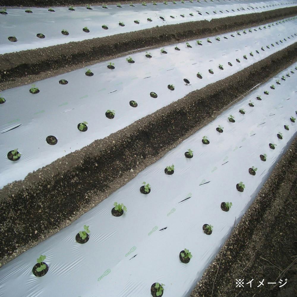 防虫シルバーマルチ0.02×135×200m(販売終了) | 農業資材・薬品