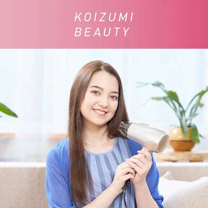 コイズミ 海外対応イオンドライヤー KDD0020