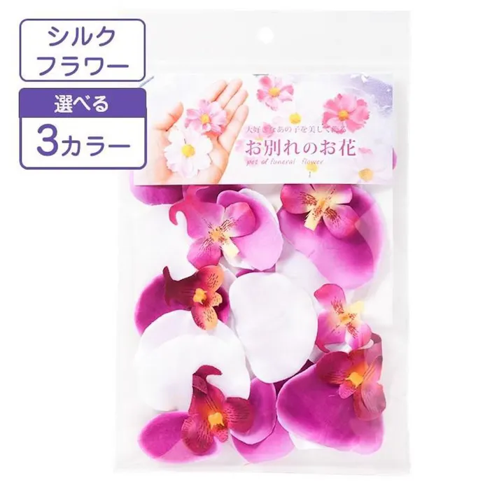 お別れ花 胡蝶蘭 ペタル ミックス