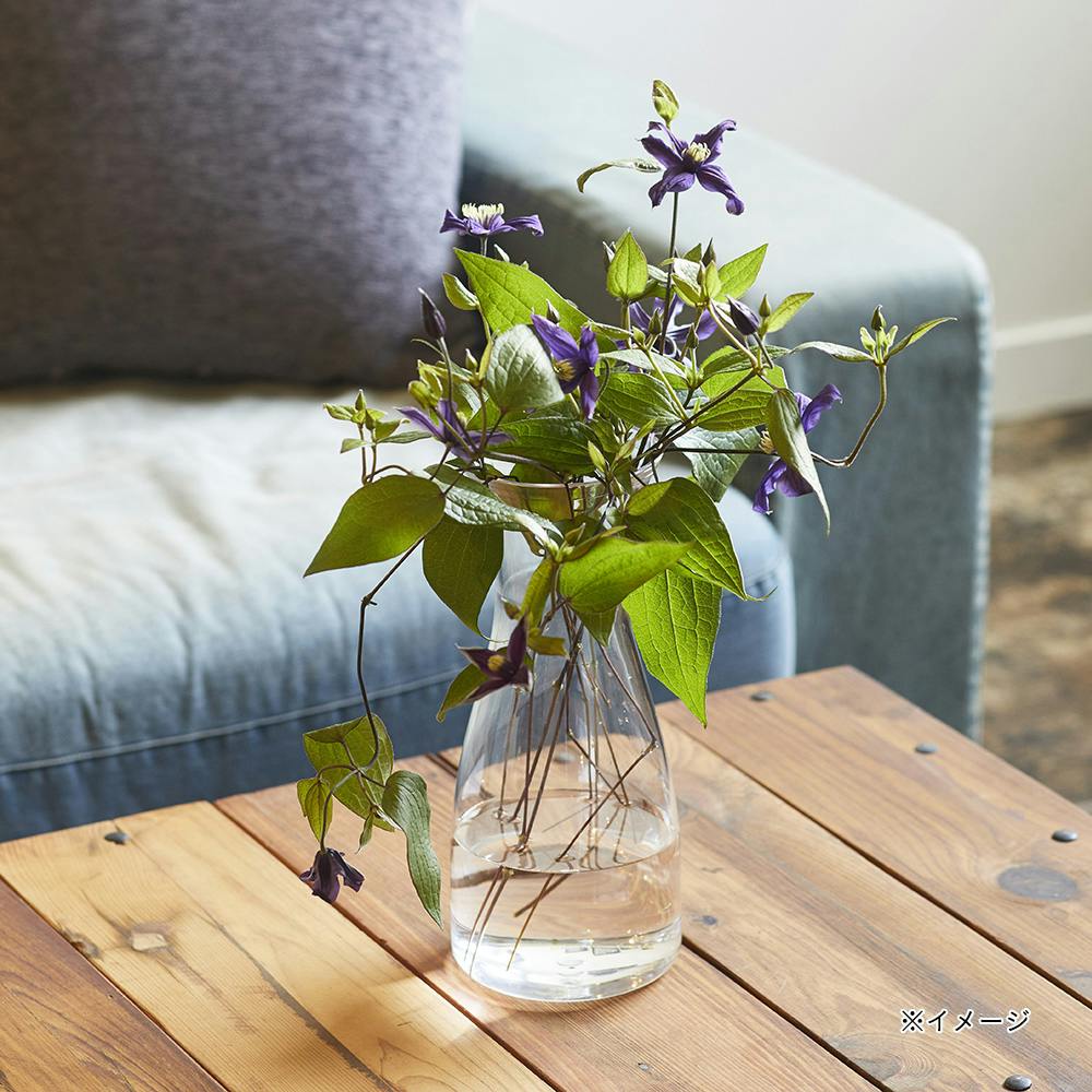 花瓶 グリーン」の人気商品一覧 | 安い商品を通販サイトから探す