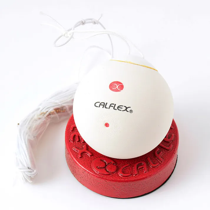 SAKURAI カルフレックス 軟式テニストレーナー TT-21