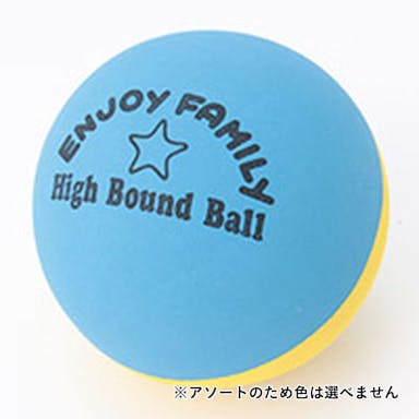 エンジョイファミリー　ハイバウンドボール