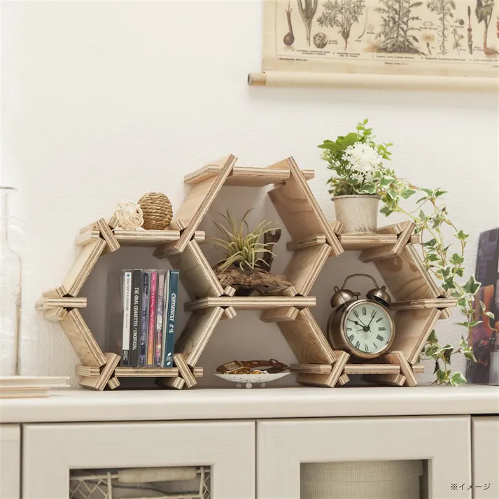 カインズ 六角形ラック ミニ 16枚セット