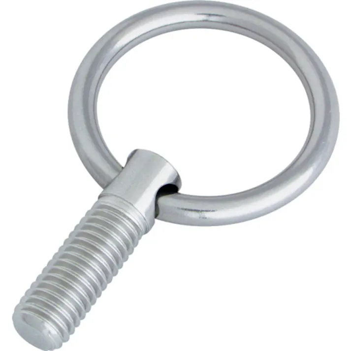 【CAINZ-DASH】水本機械製作所 アイボルト ステンレス リングボルト(ミリネジ) 捻子径M-12 使用荷重0.78kN B-775【別送品】