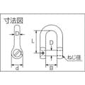 【CAINZ-DASH】水本機械製作所 ステンレス　ネジ止め沈みシャックル　長さ３２ｍｍ　内幅１６ｍｍ B-1484【別送品】