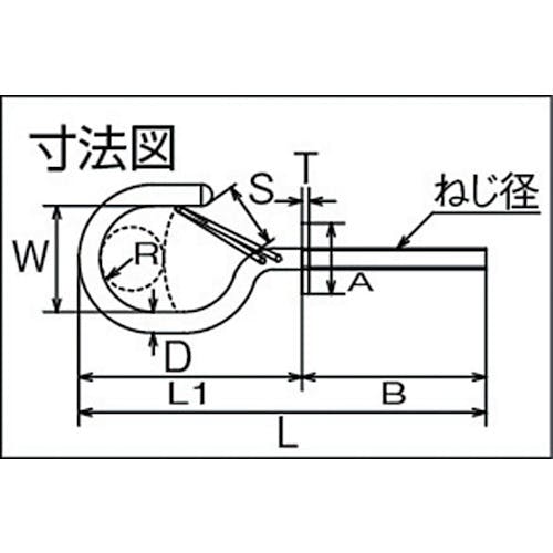 CAINZ-DASH】水本機械製作所 ステンレス ネットフック 捻子径M－5