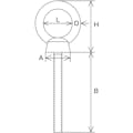 【CAINZ-DASH】水本機械製作所 ステンレス　つば付ロングアイボルト（鍛造製）（ミリネジ）　捻子径Ｍ－１０ネジ　長さ３０ｍｍ　（１個入） B-2609【別送品】