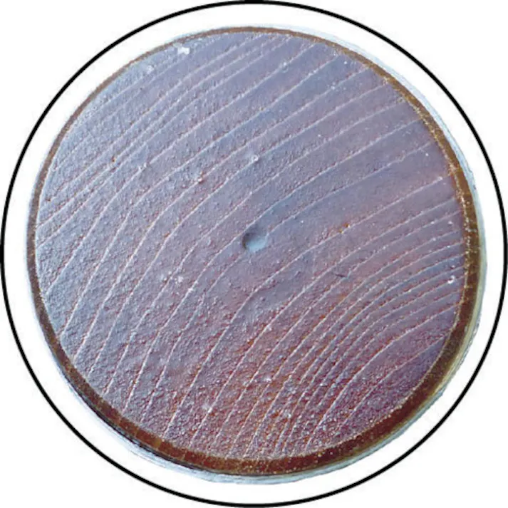 【CAINZ-DASH】トンボ工業 丸型掛矢金輪入(#150) G30304【別送品】