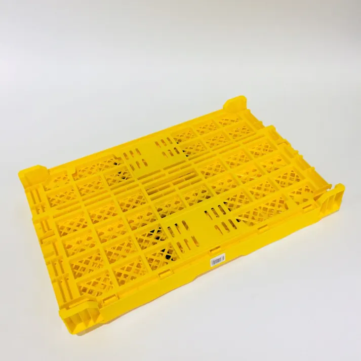 採集オリコン イエロー EP57AB