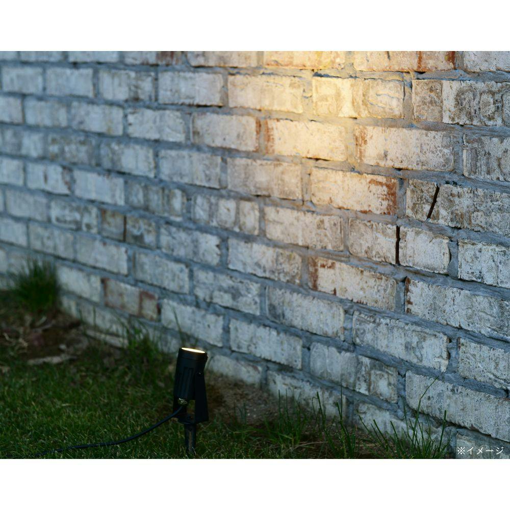 イワタデンキ　シェイプ　クリア iwatadenki