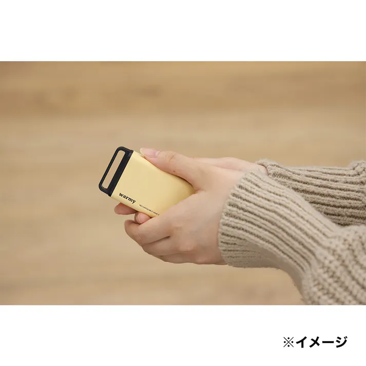 エレス 給電・充電式カイロ サンドベージュ EK-WRB22BG