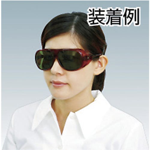 カイネ RENPHO Elis Chroma - スマート体組成計 | 健康家電 通販