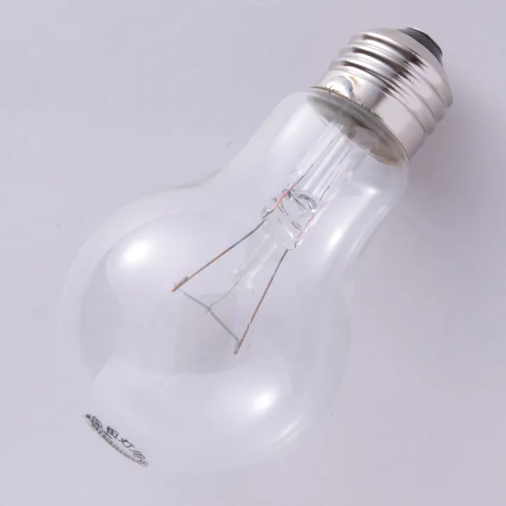 街灯用電球 60W クリア G60WD