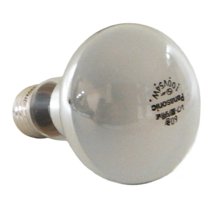 レフ電球 屋内用 ホワイト RF100V54WD