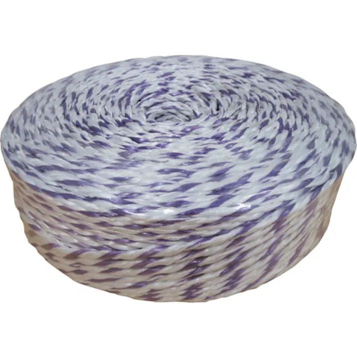 【CAINZ-DASH】司化成工業 ペッピーロープ 色白/紫 線径6mm 長さ300m PY-25-300【別送品】