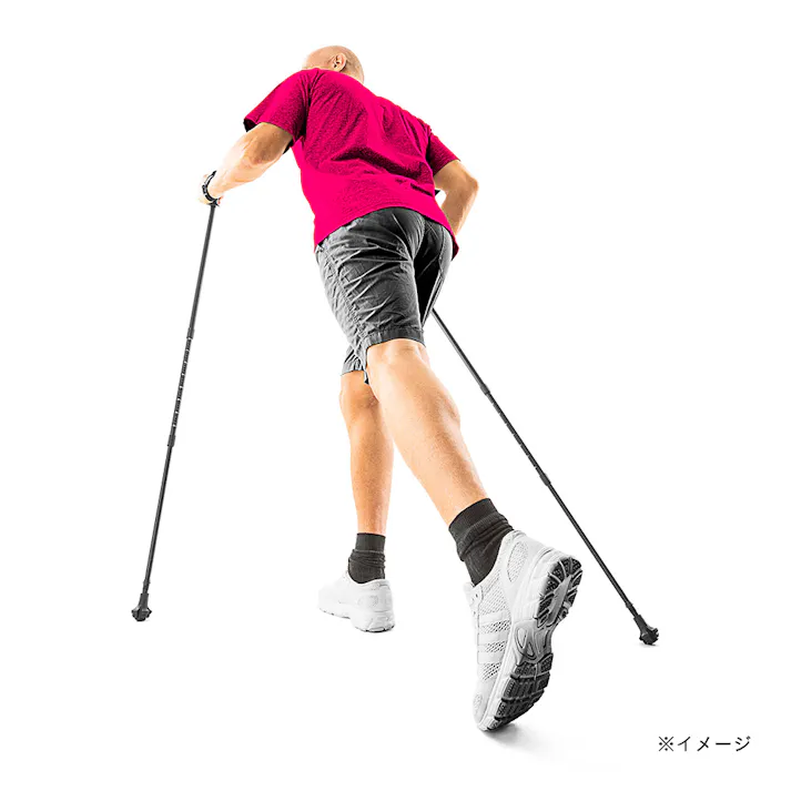 ラ・ヴィ La-VIE ノルディックポール 3B-3195