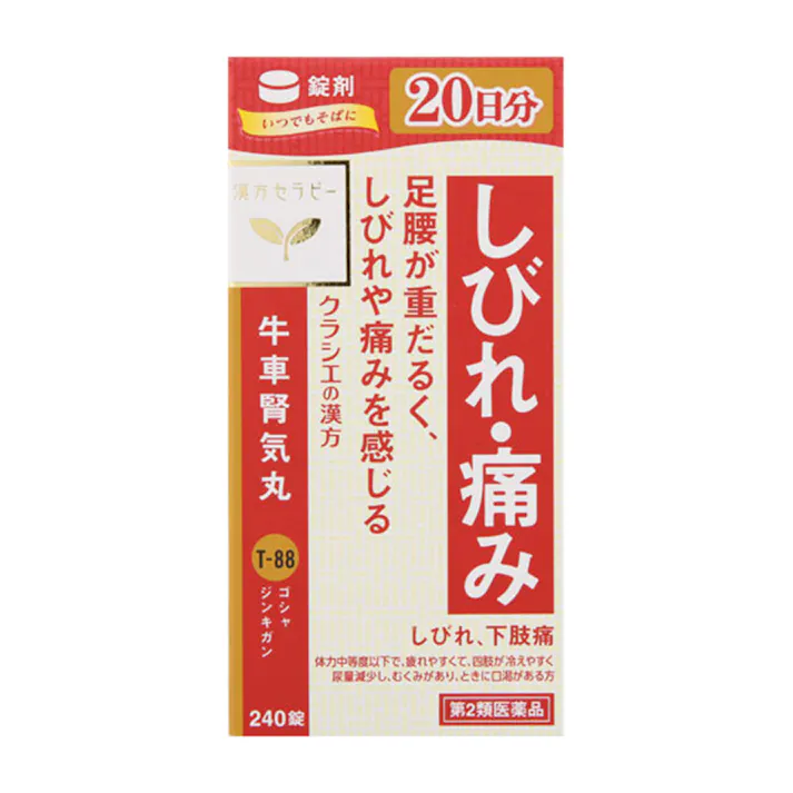 【店舗限定】第2類医薬品 牛車腎気丸エキス錠 240錠
