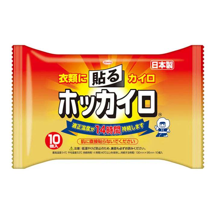 興和 ホッカイロ 貼るタイプ レギュラー 10個