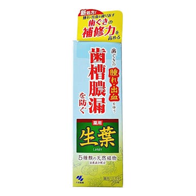 小林製薬 薬用歯みがき 生葉(しょうよう) 100g