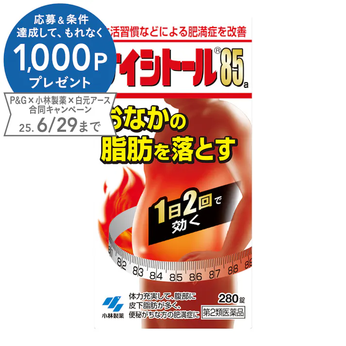 【店舗限定】第2類医薬品 小林製薬 ナイシトール85 280錠