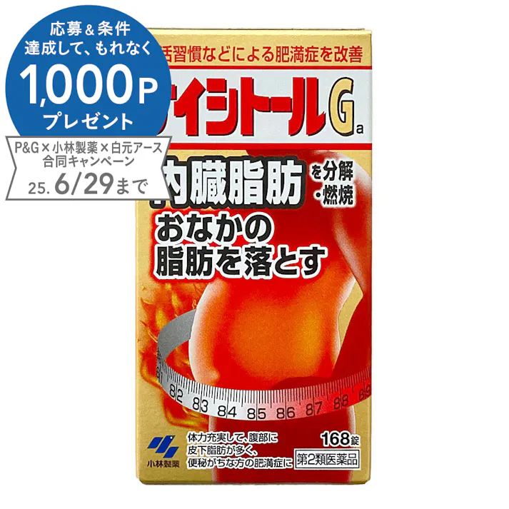 【店舗限定】第2類医薬品 小林製薬 ナイシトールGa 168錠