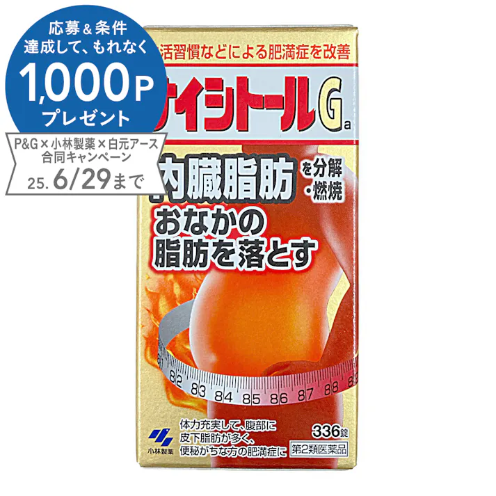 【店舗限定】第2類医薬品 小林製薬 ナイシトールGa 336錠