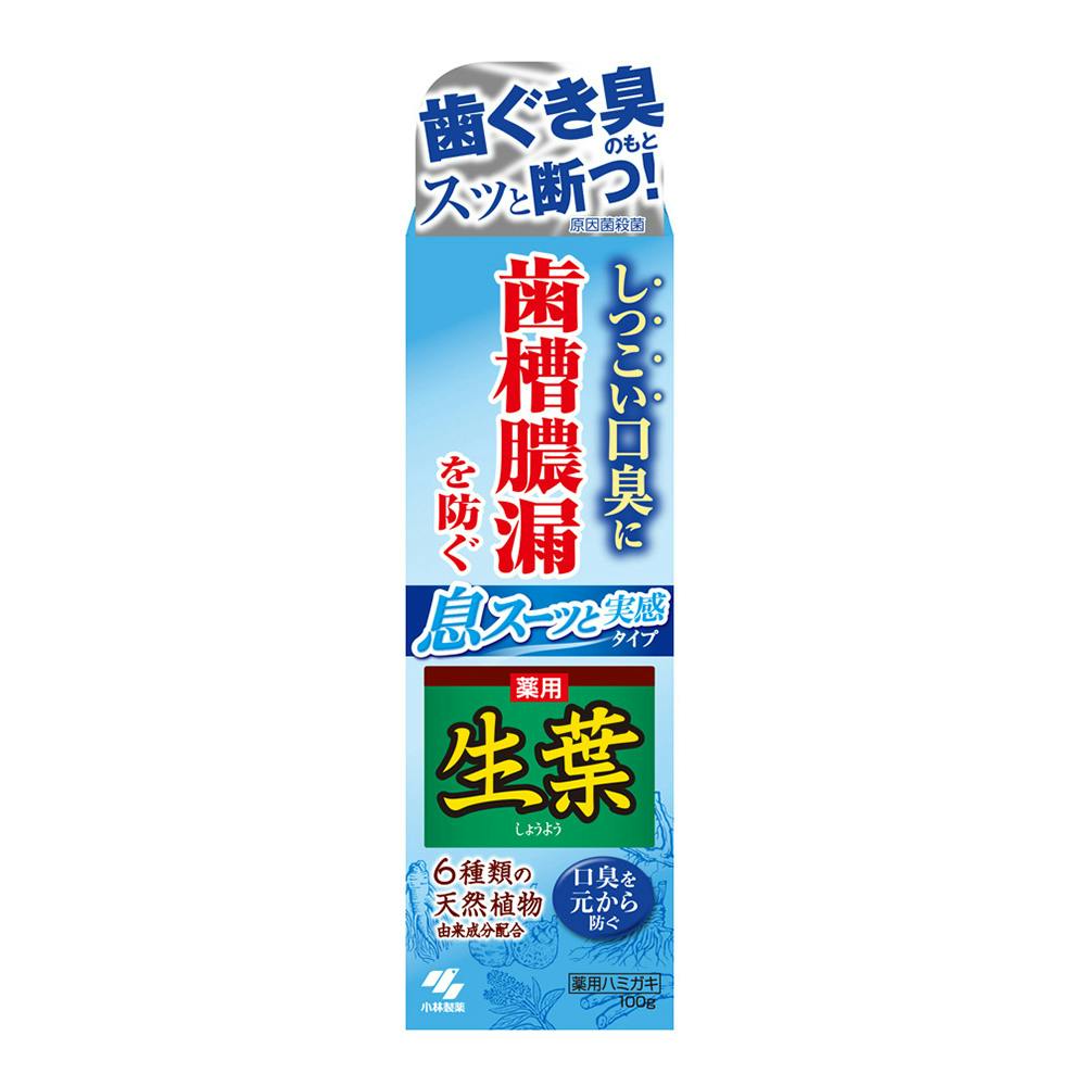 生葉 息スーッと実感タイプ 100g 歯磨き粉 生葉 息スーッと実感タイプ 100g 歯磨き粉