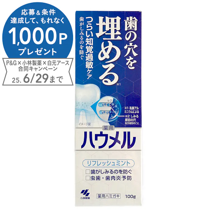 ハウメル リフレッシュミント 100g