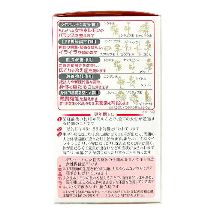 【店舗限定】第2類医薬品 小林製薬 命の母A 840錠