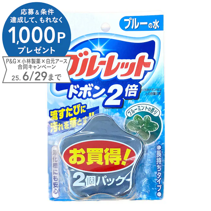 小林製薬 ブルーレット ドボン2倍 2個パック ブルーミント 120g×2個