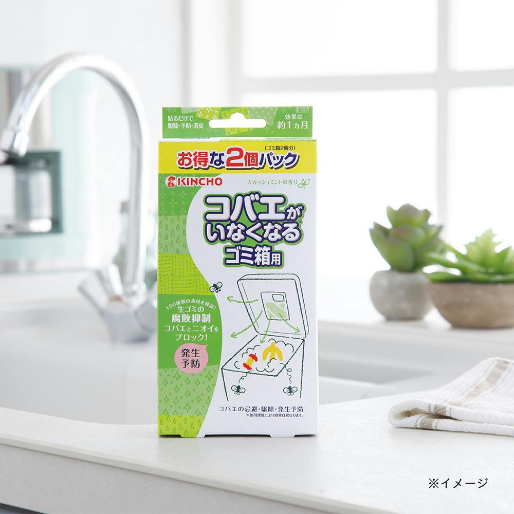 大日本除虫菊 KINCHO コバエがいなくなるゴミ箱用 スカッシュ 大日本除虫菊 KINCHO コバエがいなくなるゴミ箱用 スカッシュ