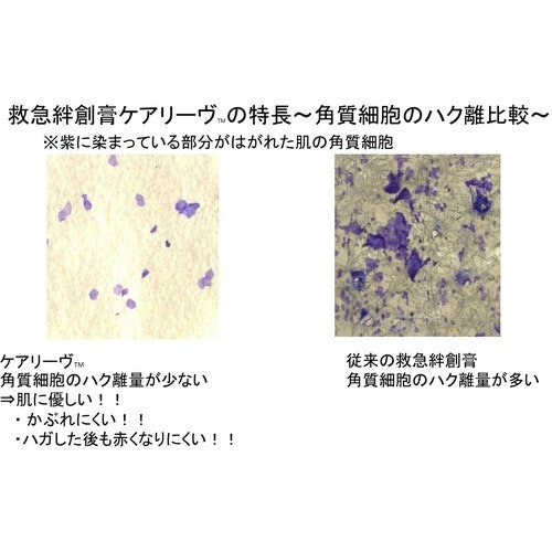 CAINZ-DASH】ニチバン ケアリーヴＣＬ２Ｆ（フリーサイズ） （２枚入）【別送品】｜ホームセンター通販【カインズ】