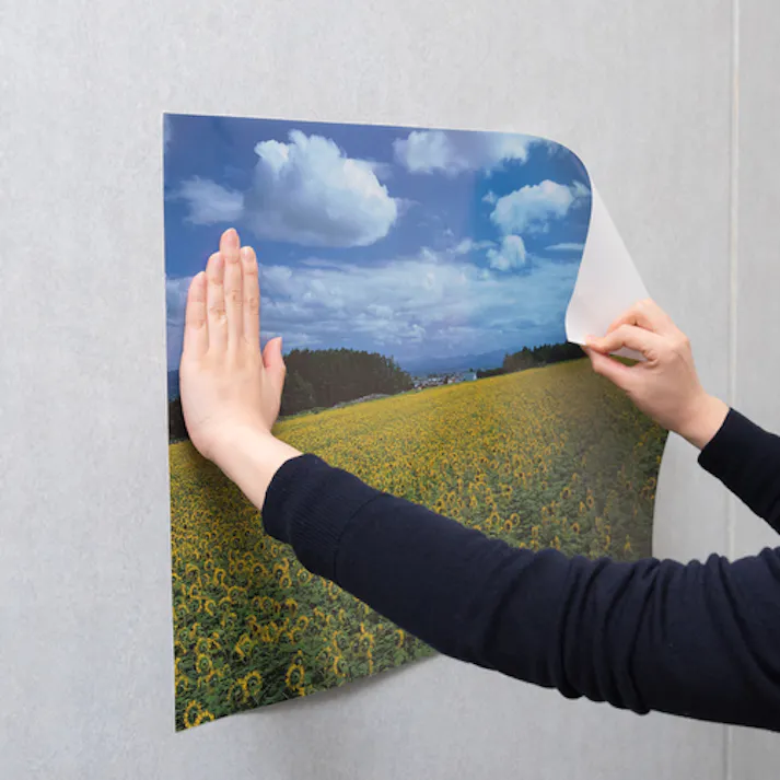 【CAINZ-DASH】ニチバン 両面テープ ナイスタックしっかり貼れて剥がしやすいタイプNW-H25 25mmX9m NW-H25【別送品】