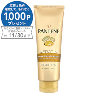 パンテーン エクストラダメージケア 洗い流すトリートメント 特大 300g