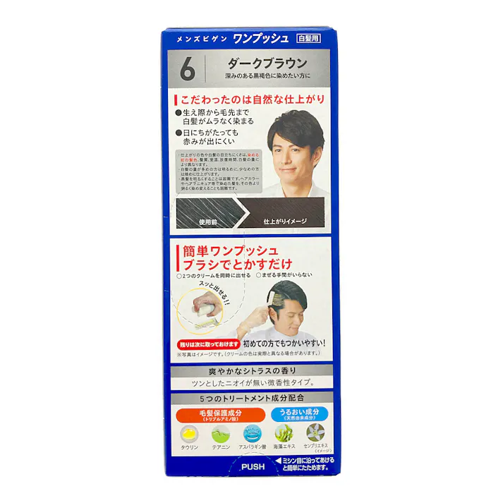 メンズビゲン ワンプッシュ 6