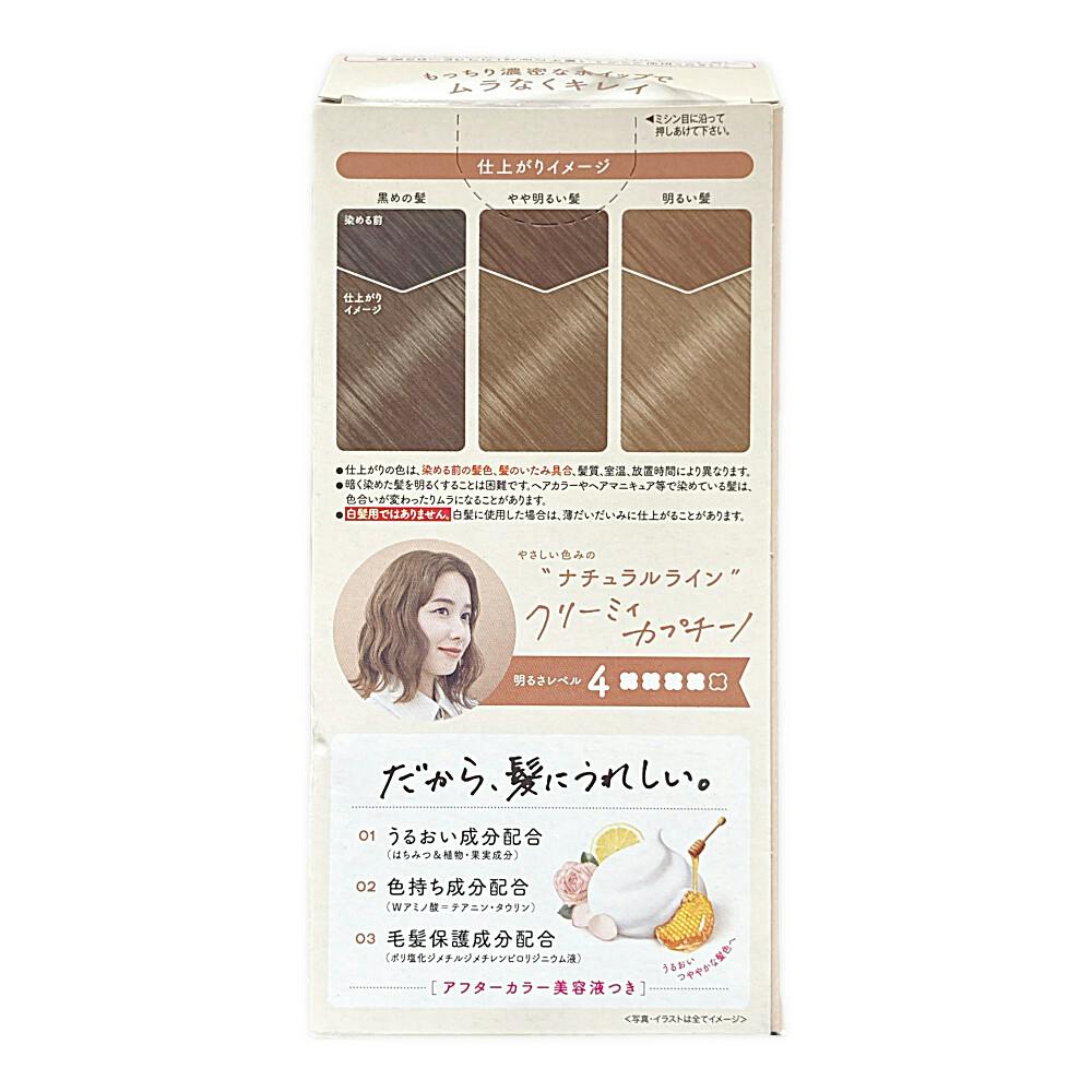 4987205310485 【24個入】 BLホイップヘアカラー クリーミィカプチーノ 93561【キャンセル不可】 4987205310485 【24個入】 BLホイップヘアカラー クリーミィカプチーノ