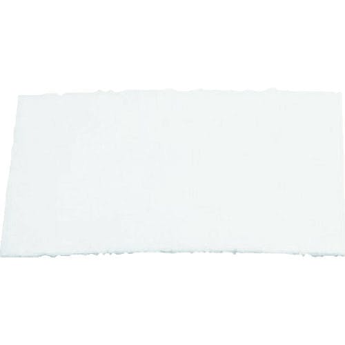 【CAINZ-DASH】スリーエム　ジャパン安全衛生製品事業部 アドフロー［［ＴＭ上］］　プレフィルター　８３６０１０　５枚／１箱 836010【別送品】